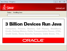 Imagen Java Runtime Environment 8 Update 311