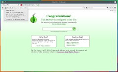 Image Tor Browser 11.0.3