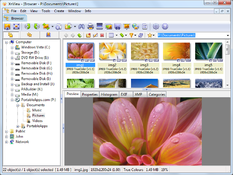 Imagen XnView 2.50.4