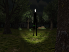Imagen Slender Dark Forest