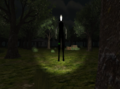 Slender Dark Forest - Imagen 1
