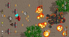 Imagen Twin Tiger Shark