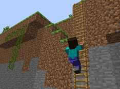 Imagen Animated Player Mod for Minecraft