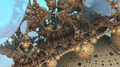 Futuristic Fractals Theme - Imagen 1