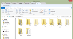 Imagen BrightExplorer 1.0.5.4
