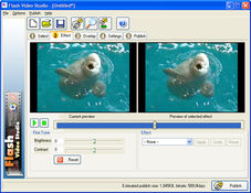Imagen Flash Video Studio 2.2