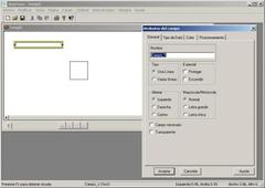 Imagen AnyForm Formularios 5.0
