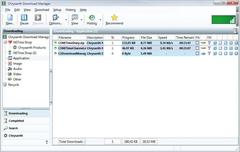 Imagen Chrysanth Download Manager 1.6.5.895