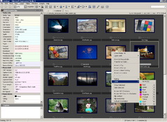 Imagen Microsoft Expression Media 2.0