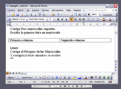 Imagen Curso de Word 2003 1.0