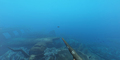 Stranded Deep - Imagen 5