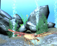 Free 3D Marine Screensaver - Image 2