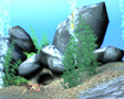 Free 3D Marine Screensaver - Image 3