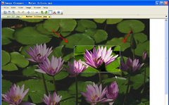 Imagen ImageCropper 1.0
