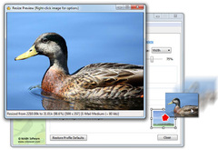 Imagen RoboSizer 1.0.9.3
