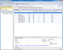 Imagen Adwords Editor 8.5.3