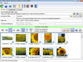 Bulk Image Downloader - Imagen 4