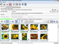Imagen Bulk Image Downloader 6.5.0.0