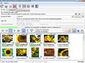 Bulk Image Downloader - Imagen 1