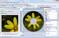 CD Label Designer - Imagen 4