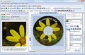 CD Label Designer - Imagen 6
