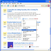 Imagen FireShot 0.98.98