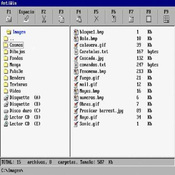 Imagen AntiWin 0.45a