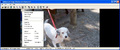 Advanced Image Viewer and Converter - Imagen 1