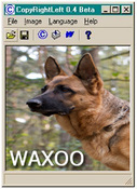 Imagen CopyRightLeft 0.4 beta