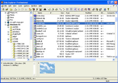 Imagen Disk Explorer Professional 3.70