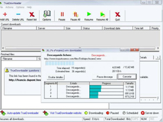 Imagen TrueDownloader 0.831 Preview 2