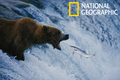 National Geographic: Best of Photo of the Day Screensaver - Imagen 1
