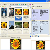 Imagen Exifer 2.1.5