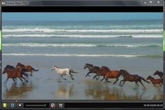 Imagen Toolwiz Video Player 2011