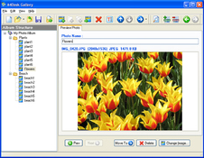 Imagen A4Desk Flash Photo Gallery Builder 2.11