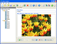 A4Desk Flash Photo Gallery Builder - Imagen 1