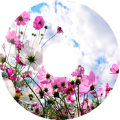 Imagen Droppix Nature Pack #1