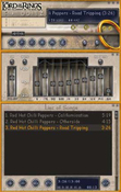 Imagen Lord Of The Rings WinAmp 2.51