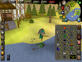 Old School RuneScape - Imagen 4