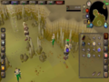 Old School RuneScape - Imagen 2