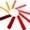 Macromedia Flash