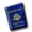 Passport Photo