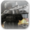 Operation7