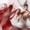 Martial Heroes