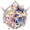 PangYa