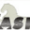 FreeBASIC