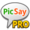 PicSay