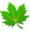 Greenify