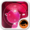 Pink Glitter GO Locker