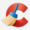 CCleaner Professional